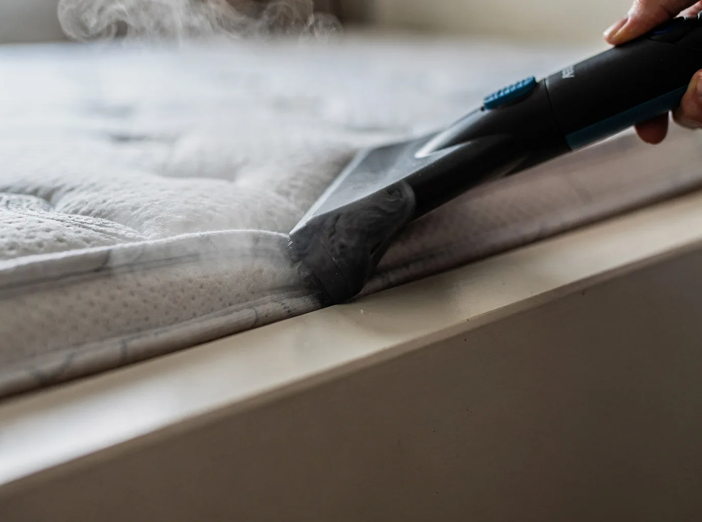 Why choose Bed Bug Treatment in Toowong